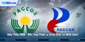 Giấy Phép XN88 - Nền Tảng Pháp Lý Vững Chắc Và Minh Bạch