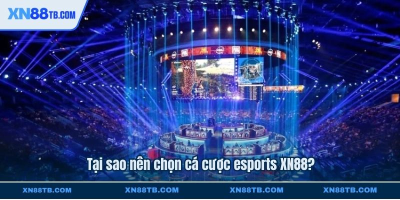 Tại sao nên chọn cá cược esports XN88?